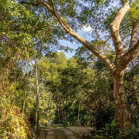 La Luciole Ecolodge باراتي المظهر الخارجي الصورة